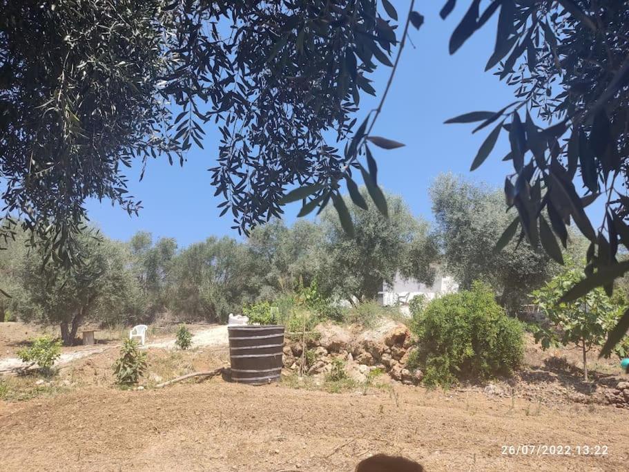 Corfu Oasis Studio Neochorakion Eksteriør billede