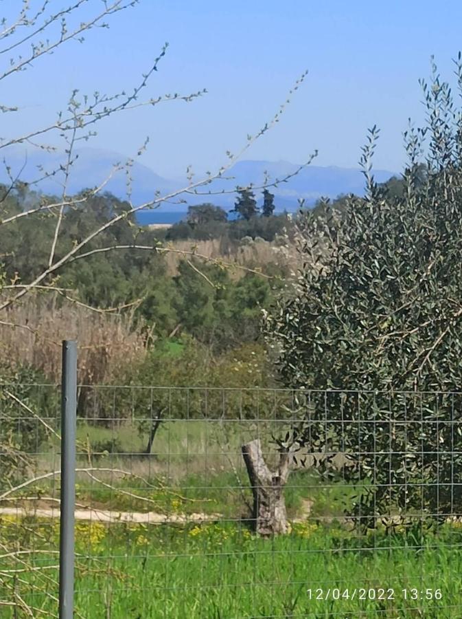 Corfu Oasis Studio Neochorakion Eksteriør billede