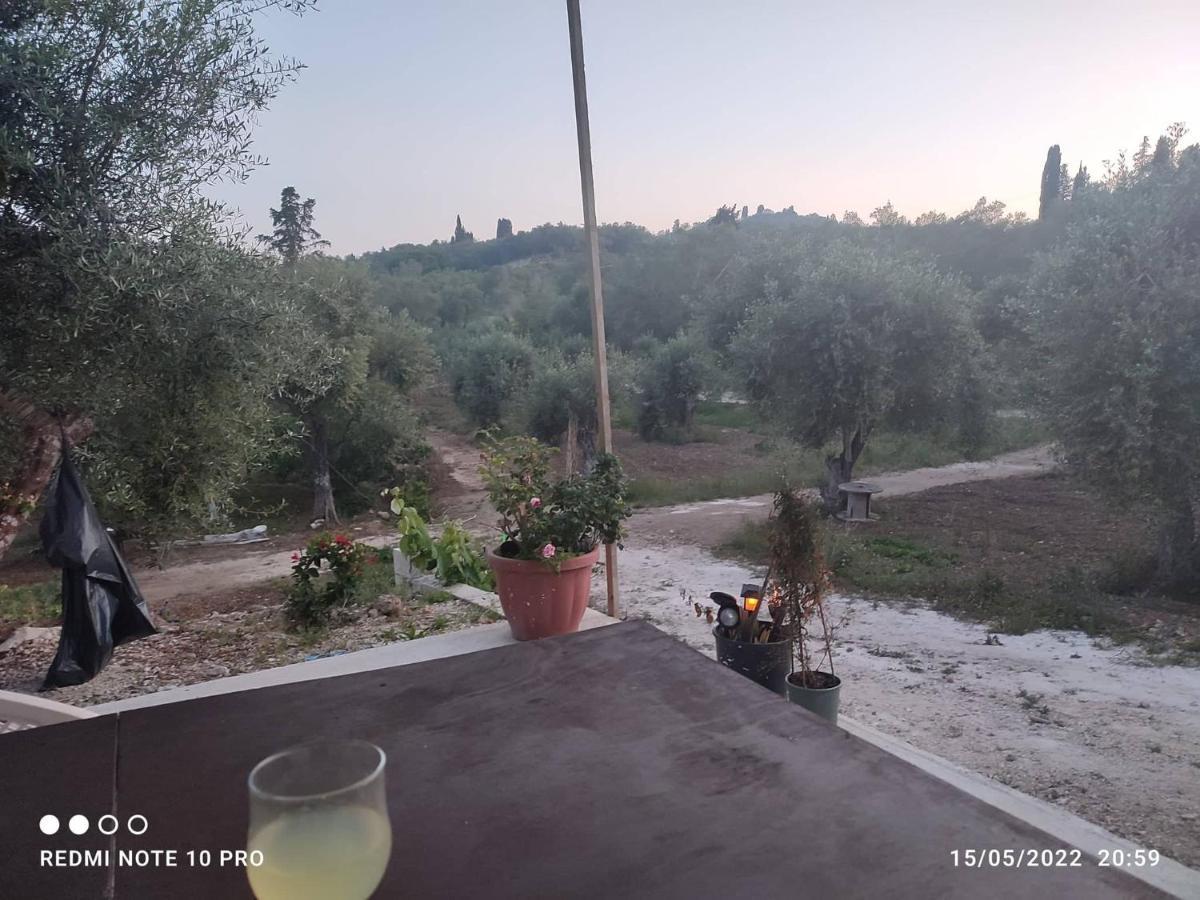 Corfu Oasis Studio Neochorakion Eksteriør billede