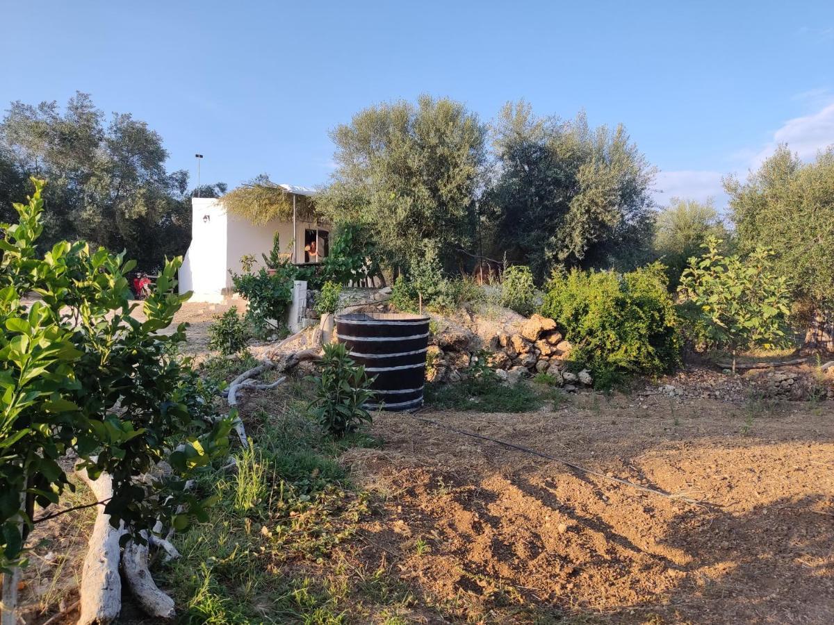 Corfu Oasis Studio Neochorakion Eksteriør billede