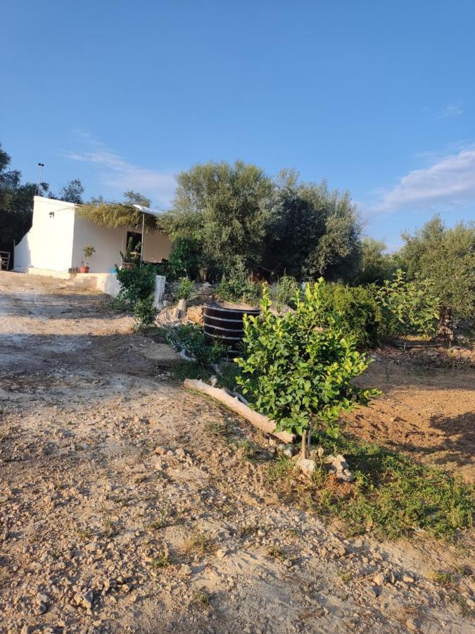 Corfu Oasis Studio Neochorakion Eksteriør billede